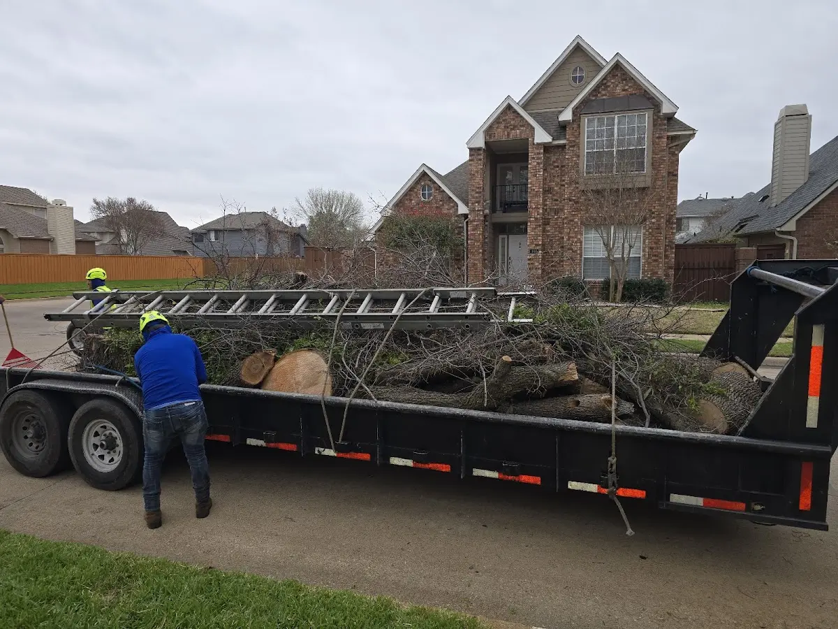 Expert Tree Fertilization with proper safety equipment in Lake Crystal